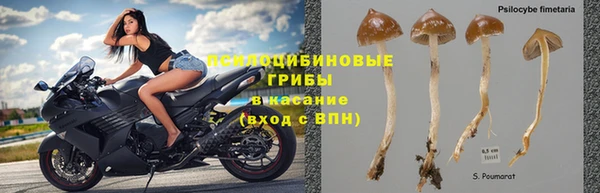 меф Алзамай