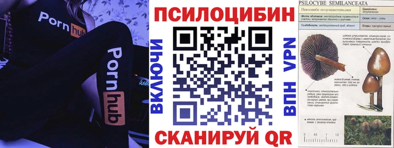 Псилоцибиновые грибы прущие грибы hydra ONION Мирный